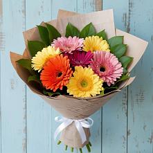 Букет цветов из:  Герберы #REPLACE_PRED# Бородино
