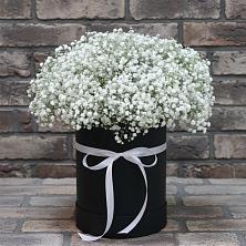 Цветочная композиция из Гипсофила в шляпной коробке в Бородино